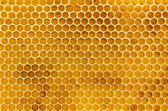 Beehive Wallpaper Top Background