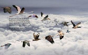 Surah Al Nahl Islamic Wallpaper