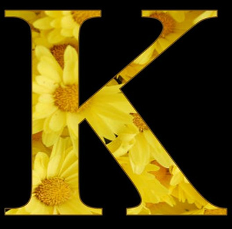 Right Click Enlarged Image And Save As To