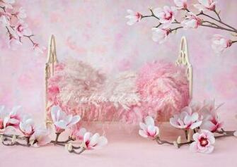 Newborn Photography Digital Backdrop Flair Galleries Prop
