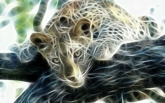 Digital Art Photography Desktop Wallpaper S