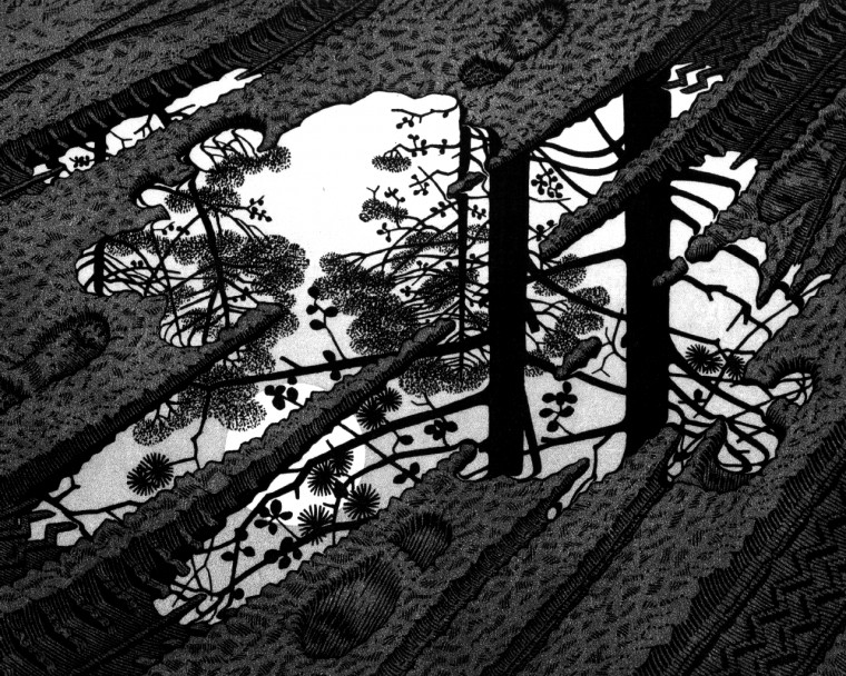 Escher Wallpaper Widescreen Divingaccessorysystems Ok