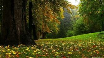 Autumn Wallpaper Widescreen With Resolutions Pixel