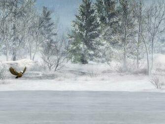 Minnesota Winter Birds
