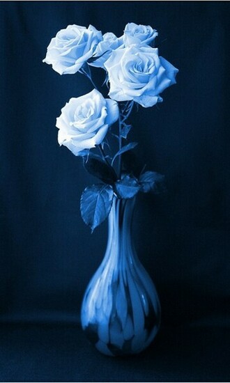Mobile Wallpaper Cute