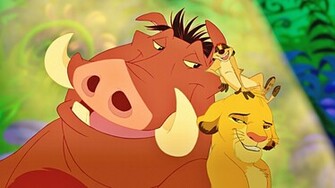 Timon Image Crazy Gallery