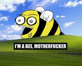 Funny Windows Desktop Background