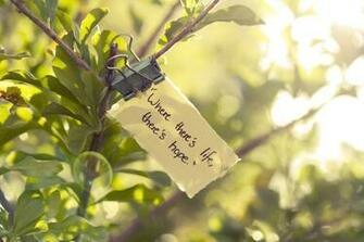 Text Nature Hope Life Wallpaper