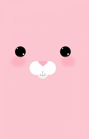 Bunny Wallpaper By Numkah Rabbit