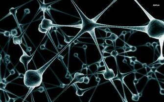 Biochemistry Wallpaper B W Neurons