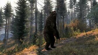 Cabela S Big Game Hunter Pro Hunts Gamingbolt Video