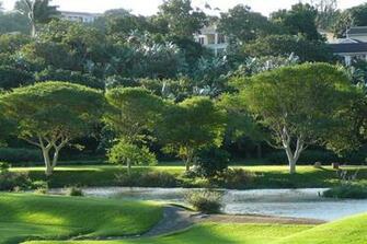 Golf Course Wallpaper For Computer Laptop Or Tablets