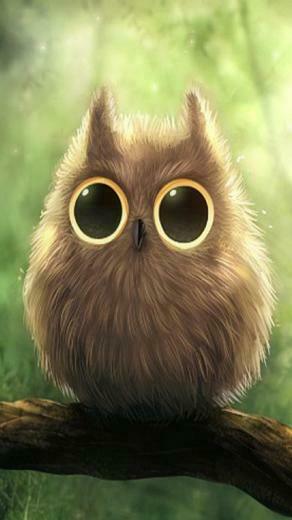 Cute Big Eyes Owl Android Wallpaper