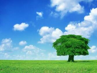 Switzerland Greenish Greenery Green Wallpaper