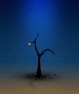 Beautiful And Cool iPhone Wallpaper The Design Work