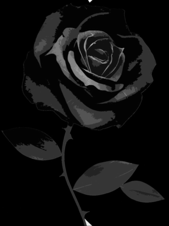 Black And White Rose Wallpaper