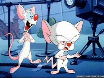 Pinky And The Brain On Tv Cartoon Wallpaper Jpg