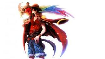 One Piece Monkey D Luffy Anime Bird Parrot HD Wallpaper Desktop