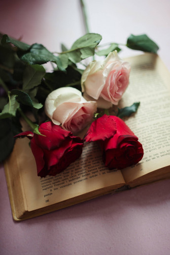 Aesthetic Rose Wallpaper