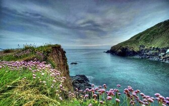 HD Desktop Wallpaper For Widescreen High Definition