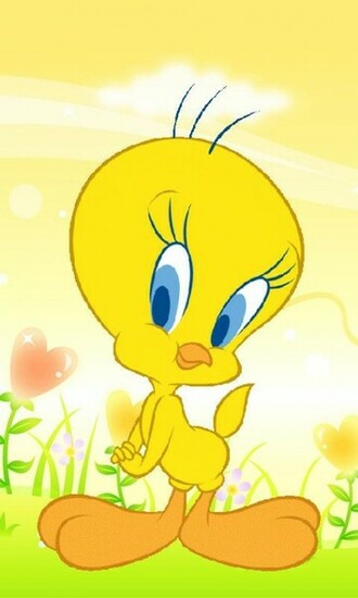 Tweety Bird Wallpaper Description From Car Pictures
