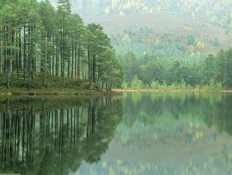 Scotland Id Forests Photography Desktop Wallpaper