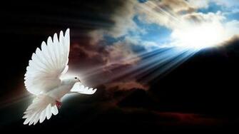 Devine Vuelo Wallpaper