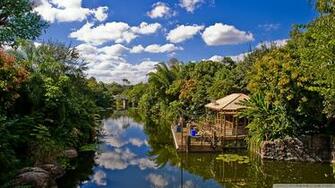 At Disney World Wallpaper Animal Kingdom