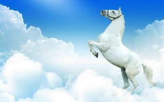 Horse Galloping Wallpaper
