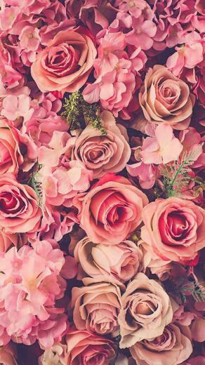 Pin Von Rosa Heinrich Auf Blumen Blumentapete iPhone Hintegr Nde