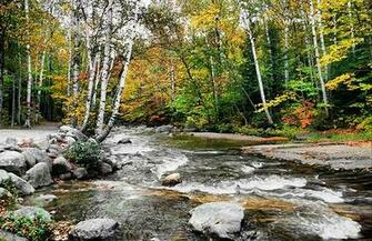 Screw Auger Falls Maine Wallpaper Background Desktop Meetup Autumn