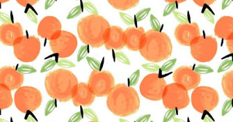 Cute Peach iPhone Background Wallpaper