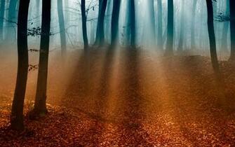 Meditation Desktop Wallpaper HD Widescreen