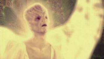 Vorlon The Babylon Project Fandom Powered By Wikia