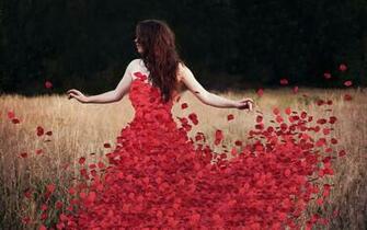 Rose Petals Wallpaper High Definition