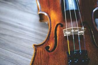 Violin Pictures Image