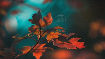 November Wallpaper Desktop Phone Calendars