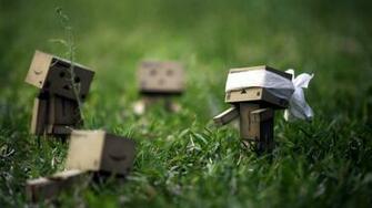 Danbo Wallpaper