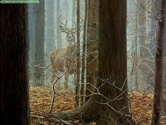 Whitetail Deer Background