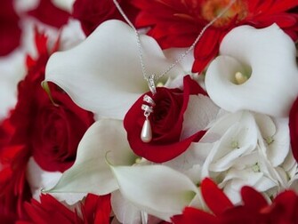 Red Rose Wallpaper Odd