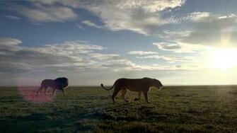 National Geographic Wallpaper HD Q5zk7y6y Yoanu