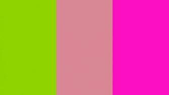 Sheen Green Shimmering Blush And Shocking Pink Three Color Background