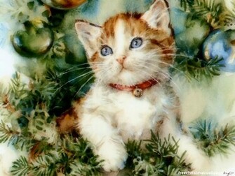 Christmas Kitten Wallpaper High Definition