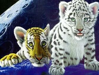 William Schimmel Tiger Cubs Screensaver Screensavers