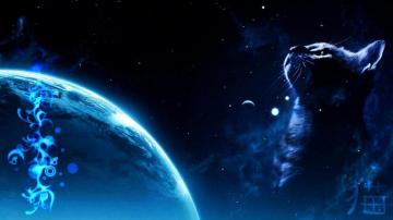 Wallpaper Mark The Black Cat By Rarameth