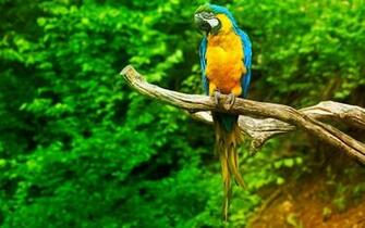 Wallpaper HD Widescreen High Quality Desktop23 Jpg