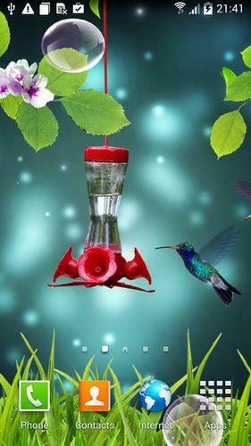 Live Wallpaper Screenshots How Does It Look Colibri