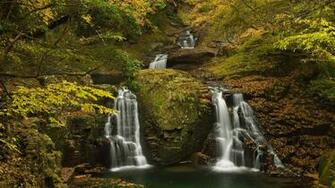 Forest Waterfall UHD 8k Wallpaper