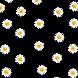 Floral Wallpaper Flower And Background