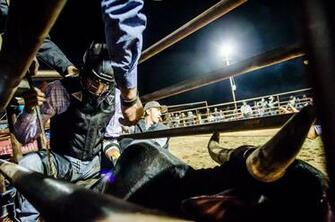 Bull Riding Bullrider Cowboy Western Cow Extreme